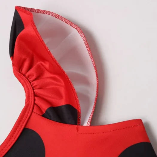 Fantasia Infantil Ladybug