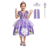 Fantasia Infantil Princesa Sofia