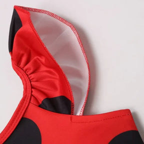 Fantasia Infantil Ladybug